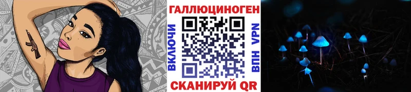 где найти наркотики  Отрадная  Псилоцибиновые грибы GOLDEN TEACHER 